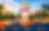 Copy of SFG 2026 web banner - Race pack collection-12.png